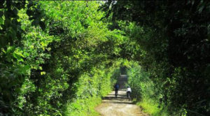Los-mejores-destinos-colombianos-para-montar-en-bici