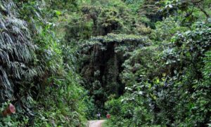 Los-mejores-destinos-colombianos-para-montar-en-bici-4
