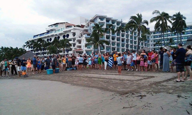 turistas-liberando-tortugasen-puerto-vallarta-mexico